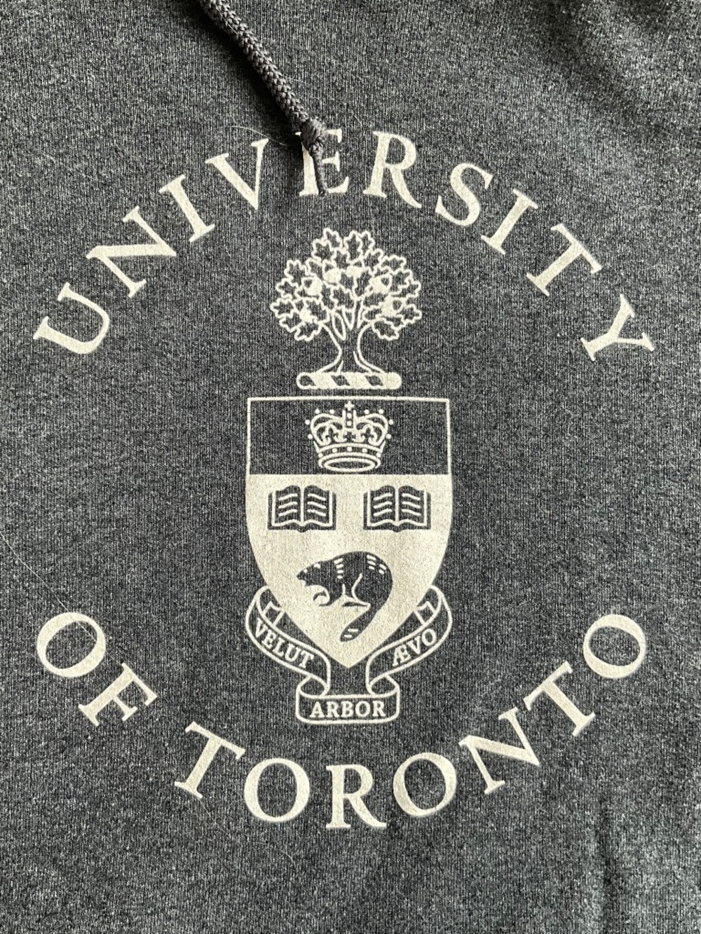 University of Toronto UofT Hoodie xl